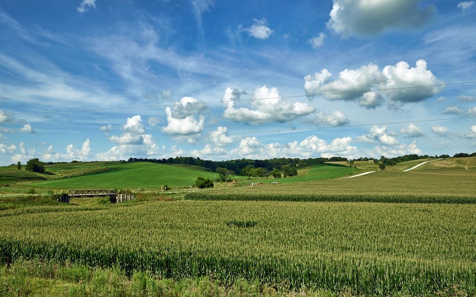 iowa farm